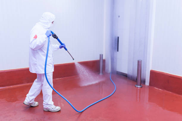 Post-Construction Pressure Washing in Land O Lakes, FL