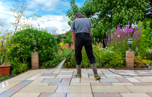 Best Winterizing Services  in Land O Lakes, FL
