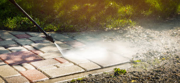 Boat and Dock Cleaning in Land O Lakes, FL